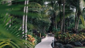 Un sentier pavé serpente à travers un jardin luxuriant, où l’on trouve des palmiers et diverses espèces de plantes.