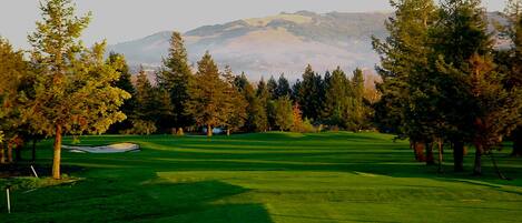 A golf course with a putting green, trees, and a distant mountain range.