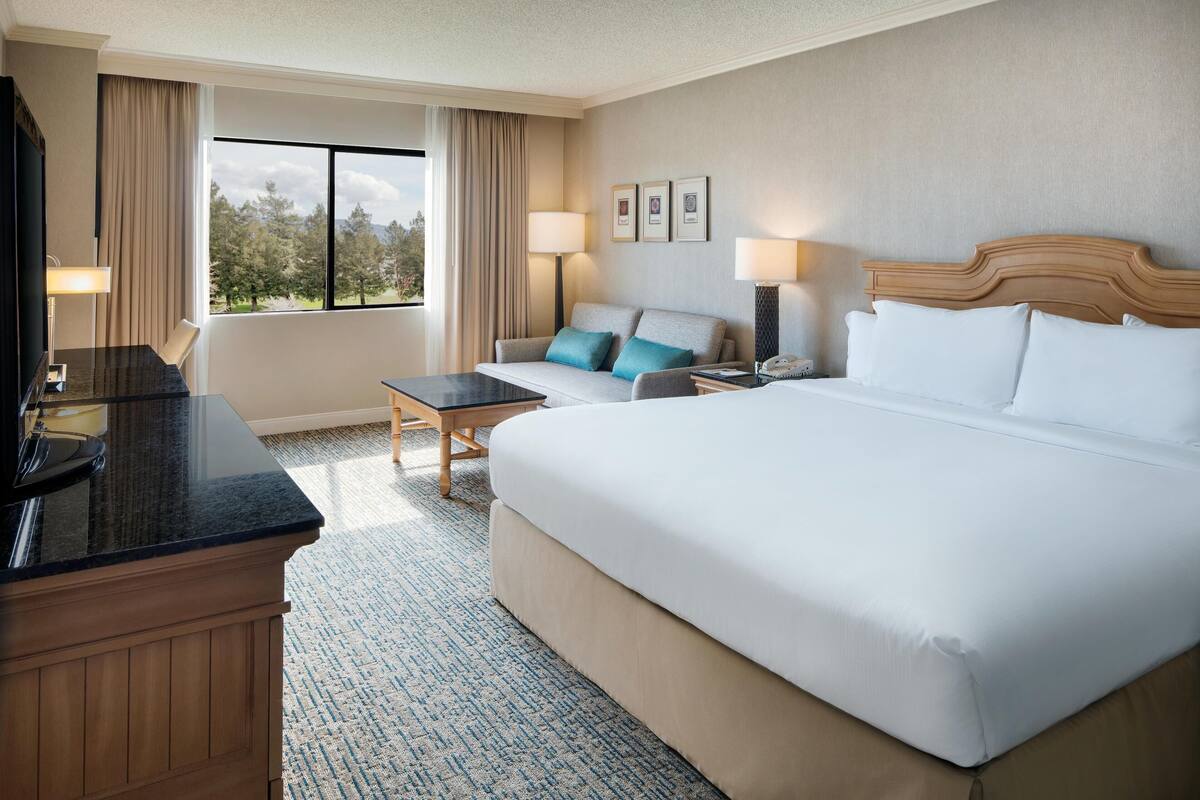 Une chambre d’hôtel avec un grand lit, un bureau avec une chaise, une télévision et une fenêtre avec des rideaux.