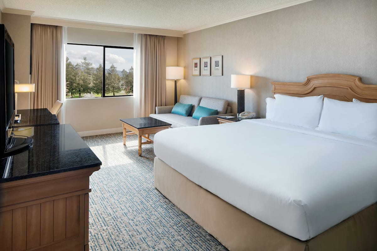 Una habitación de hotel con una cama grande, un escritorio con silla, un televisor y una ventana con cortinas.