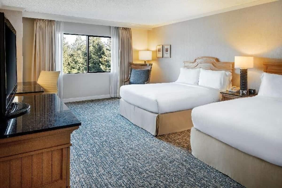 Premium bedding, pillow-top beds, in-room safe, desk