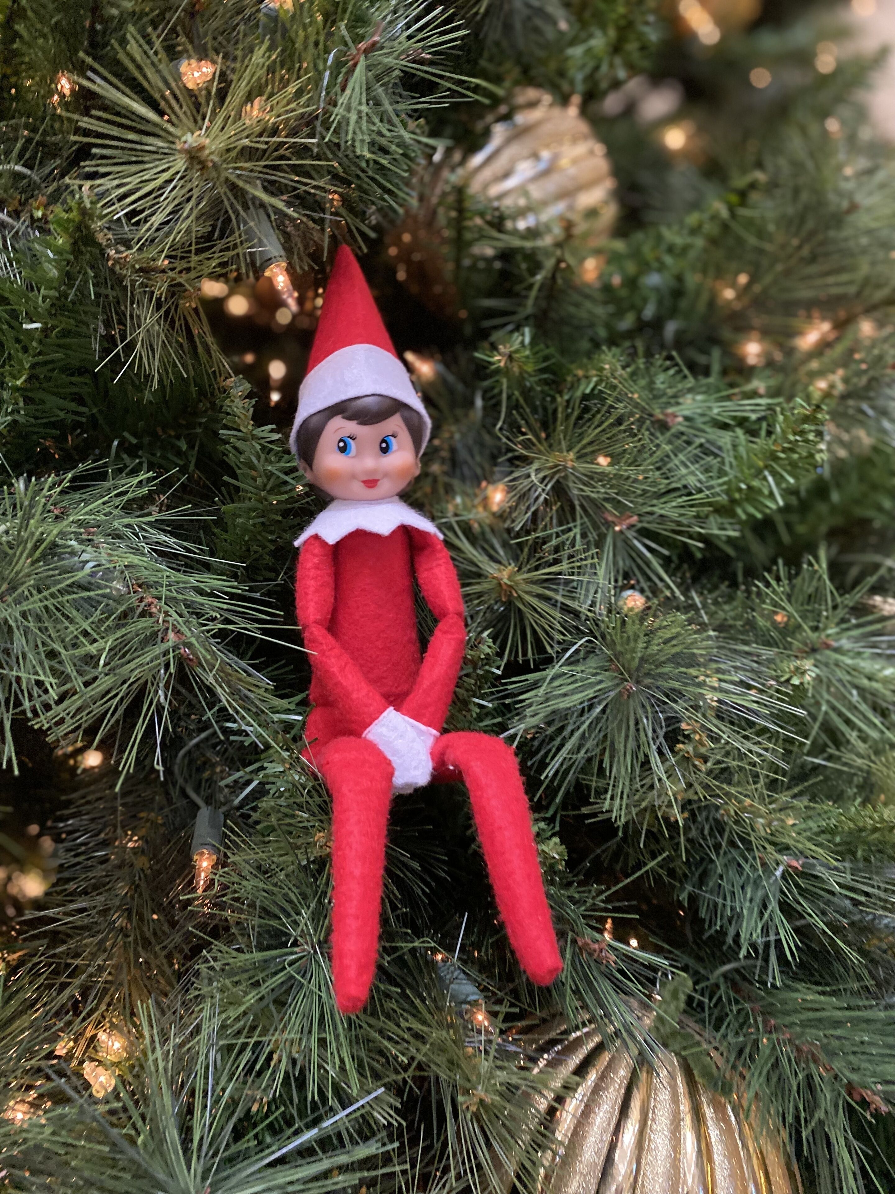 A Christmas elf ornament on a pine tree.