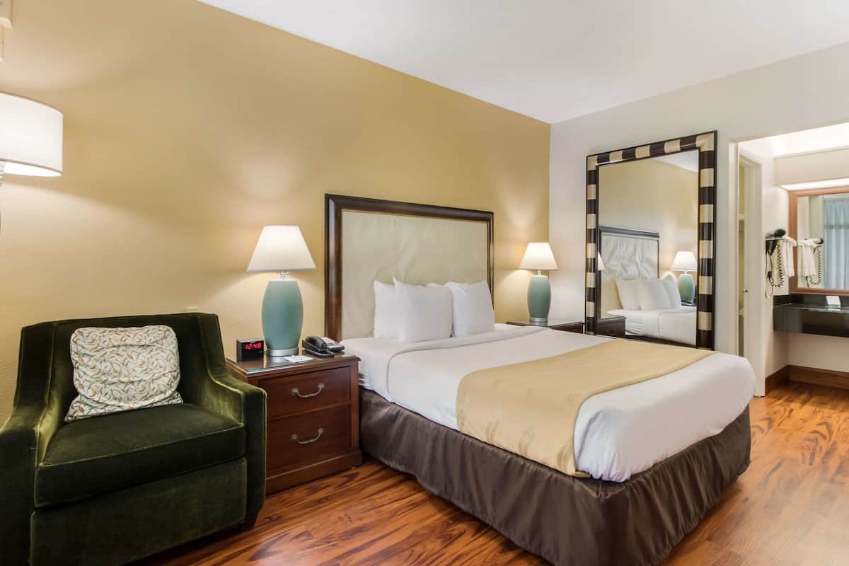 Standard Room, 1 Queen Bed, Non Smoking | In-room safe, desk, laptop workspace, blackout drapes