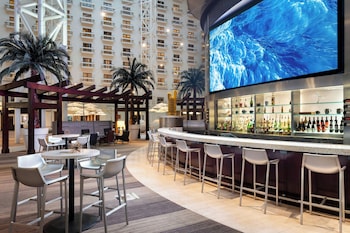 3 bars/lounges, poolside bar at Renaissance Orlando at SeaWorld