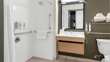 A modern bathroom with a walk-in shower, a vanity with a sink and mirror, and a toilet.