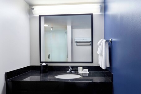 Fairfield Inn Suites by Marriott Indianapolis Downtown - Image 23