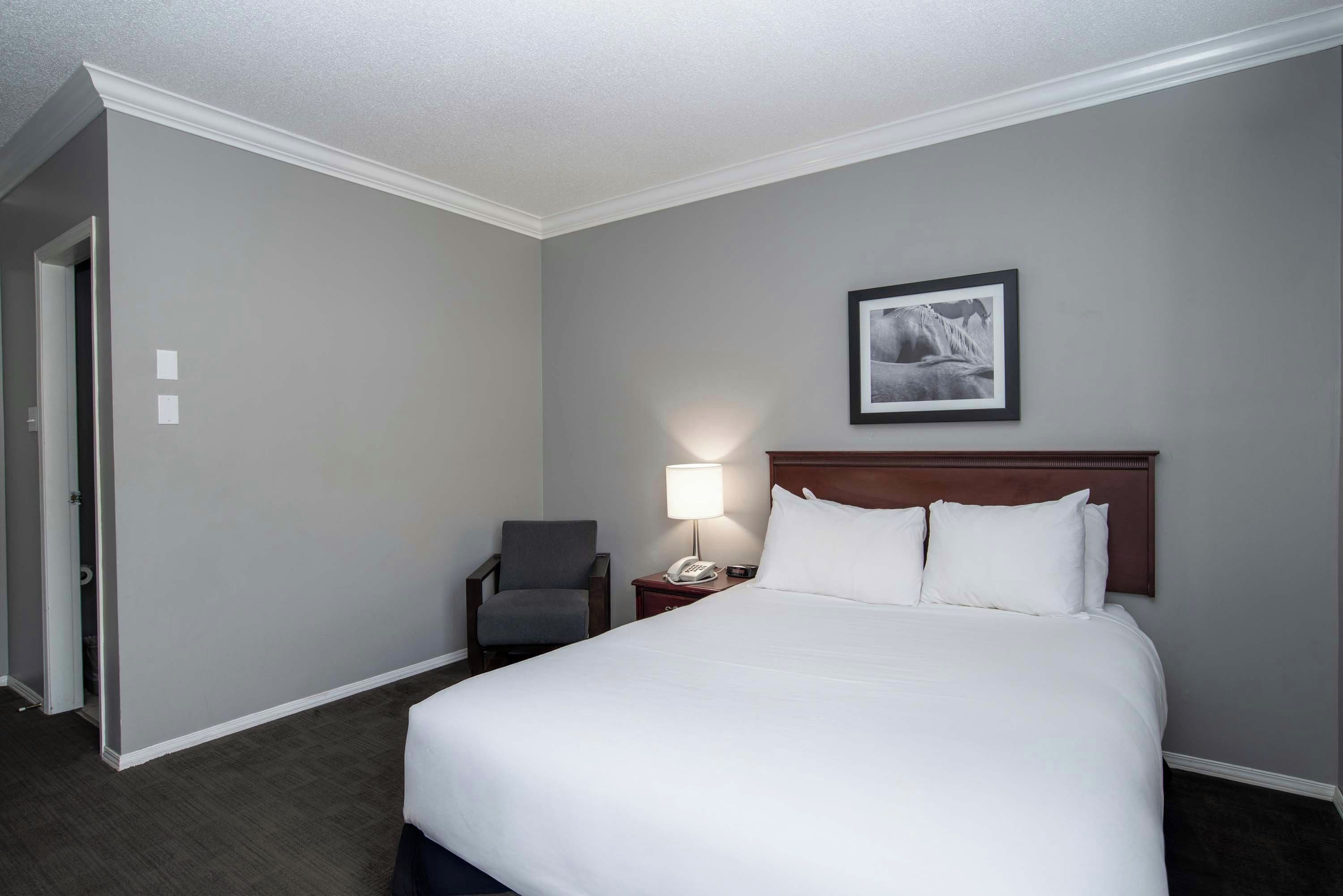 A hotel room with a large bed, a chair, a nightstand with a lamp, and a framed picture on the wall.