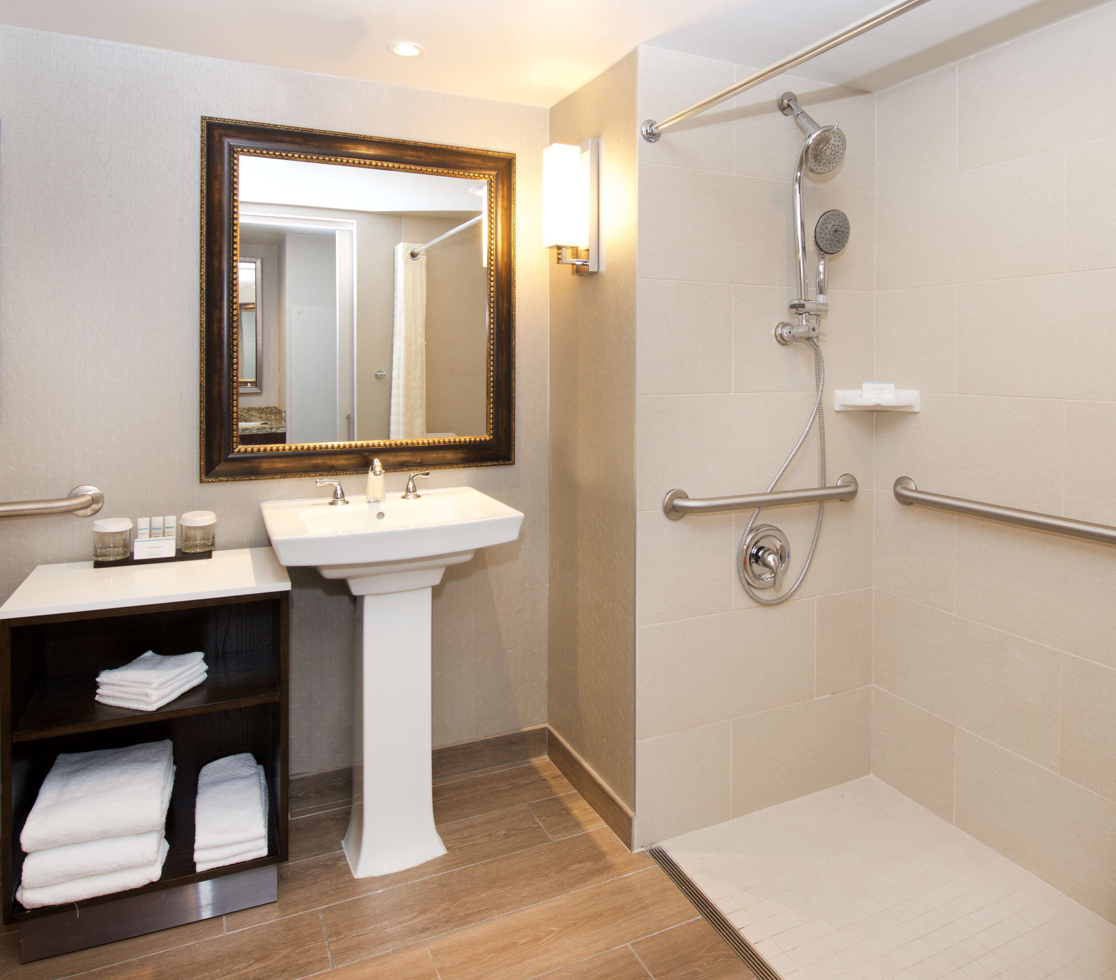 suite, 1 king bed, accessible, non smoking | bathroom shower
