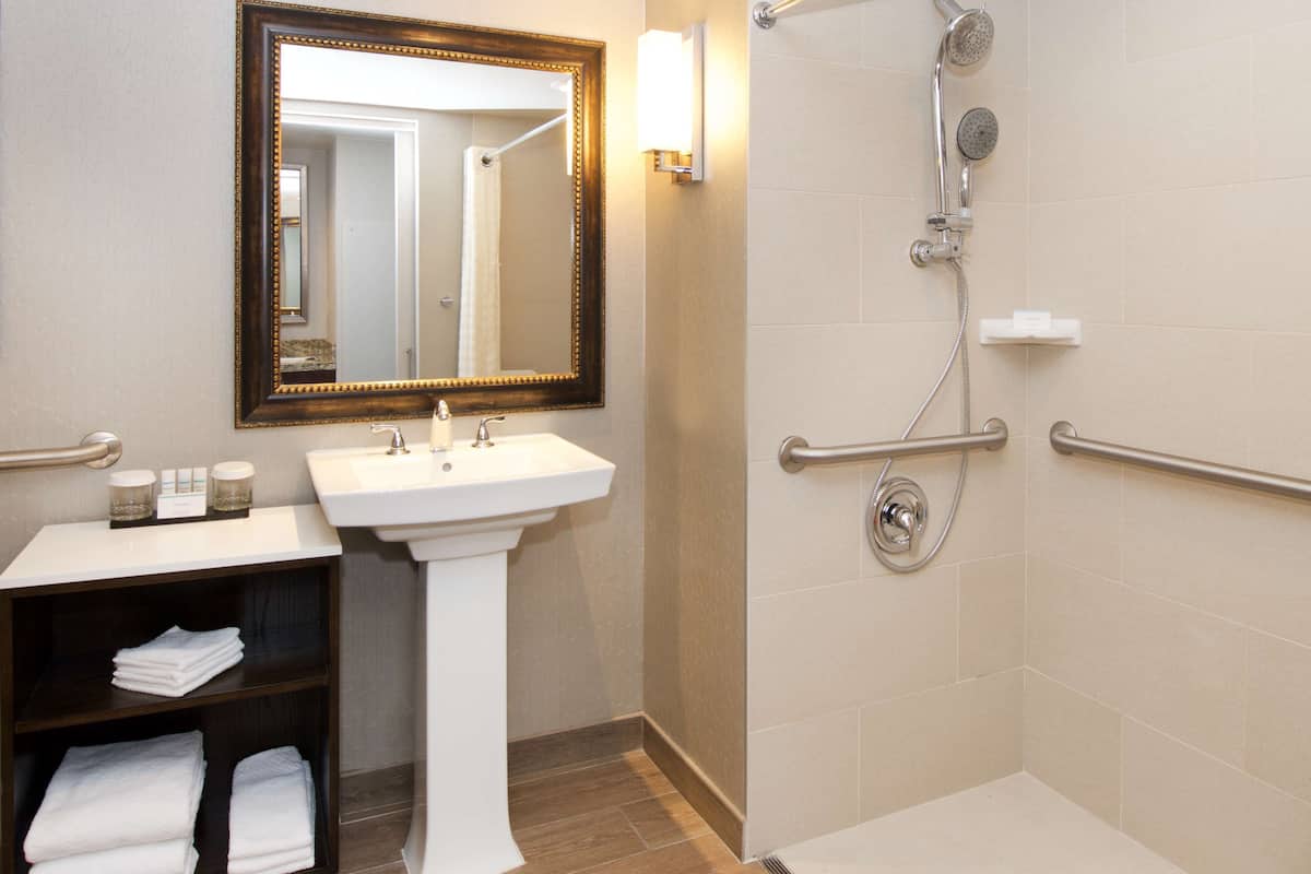 suite, 1 king bed, accessible, non smoking | bathroom shower