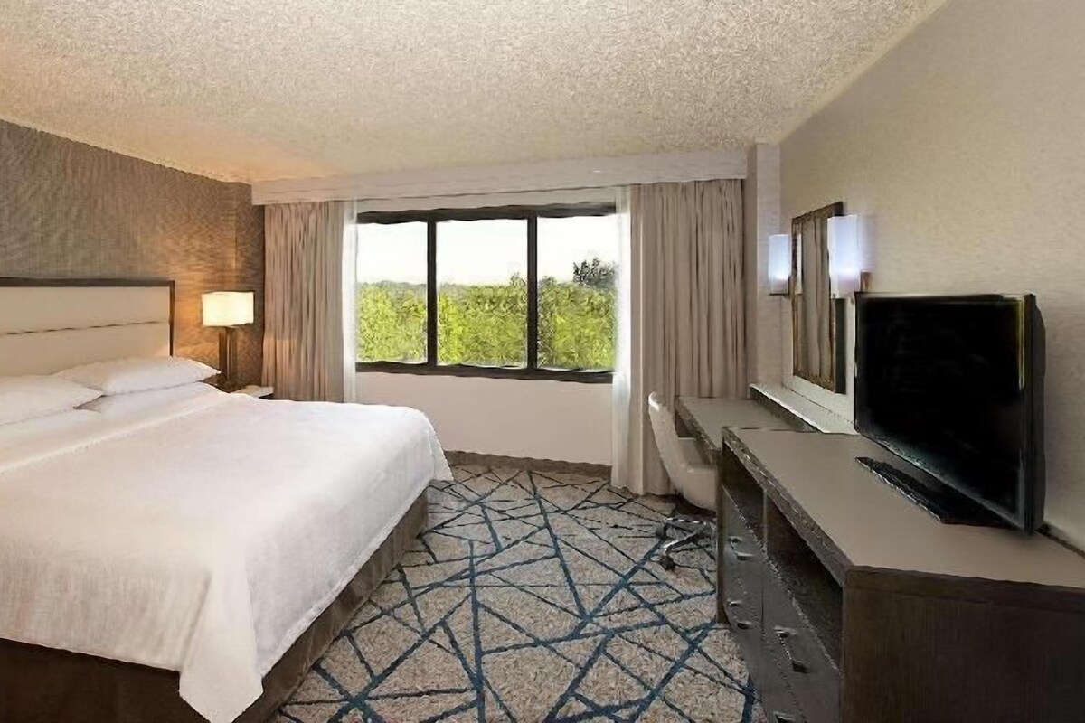 A hotel room with a bed, a television, a window with curtains, and a patterned carpet.