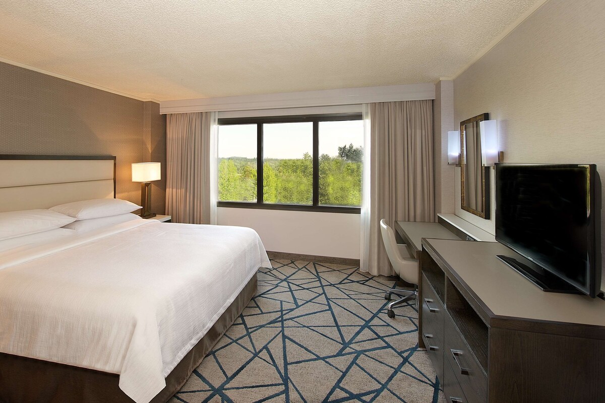 A hotel room with a large bed, a TV, a desk, and a window with a view of greenery.
