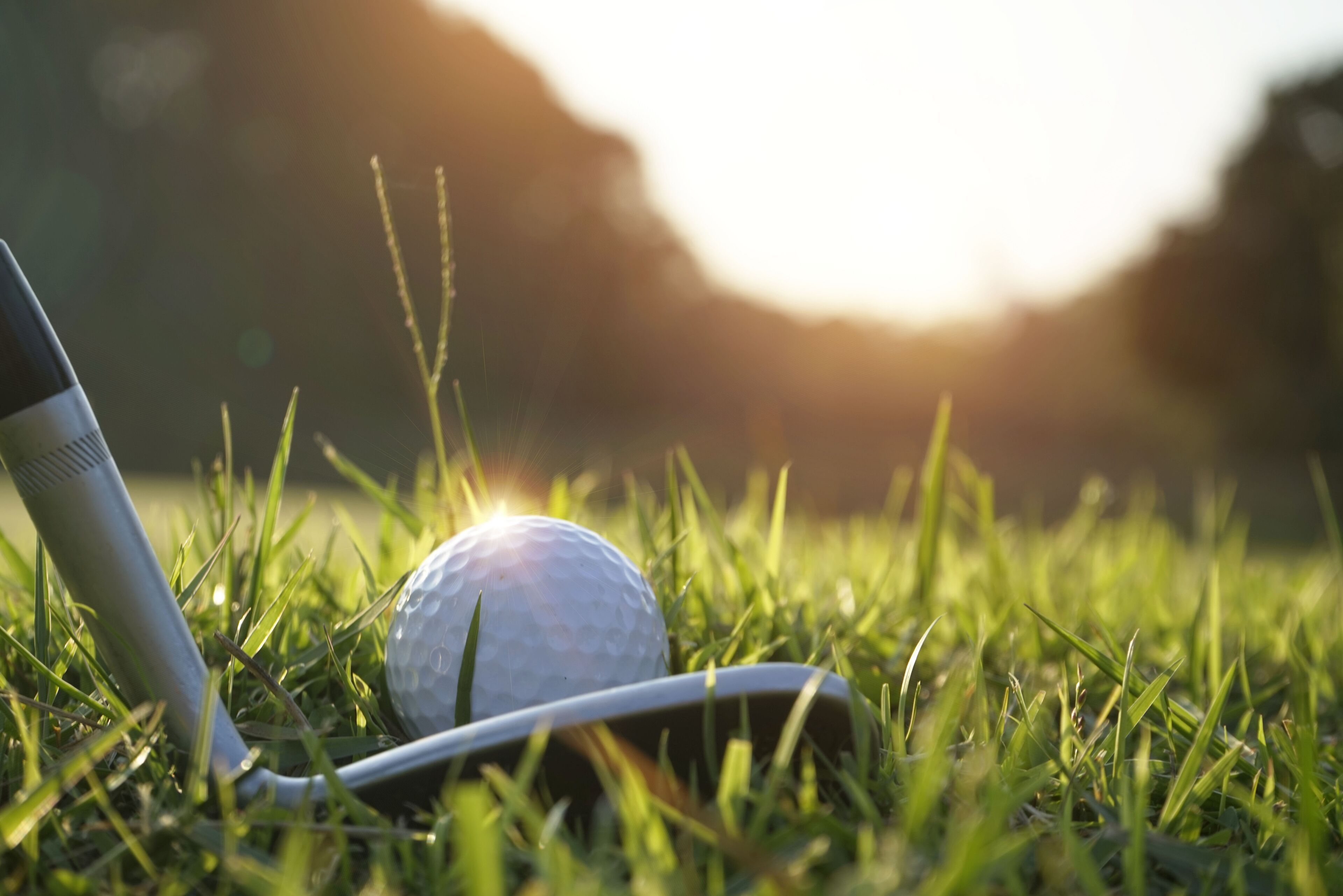 Une balle de golf posée sur un support dans une zone herbeuse.