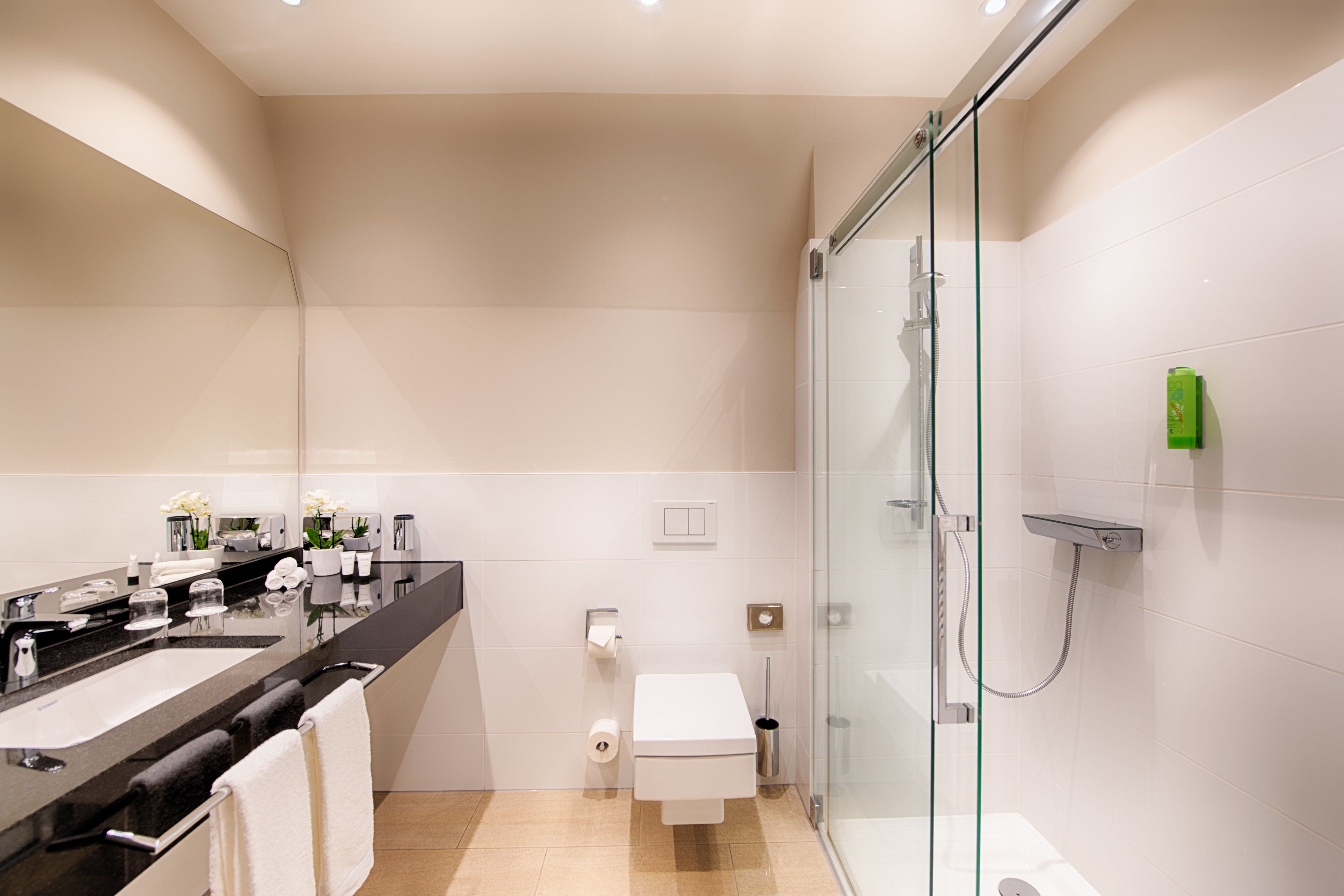 A modern bathroom with a glass-enclosed shower, a black countertop sink, and a toilet.