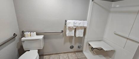 A bathroom with a toilet, a shower, and a handrail.