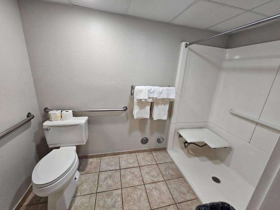 A bathroom with a toilet, a shower, and a handrail.
