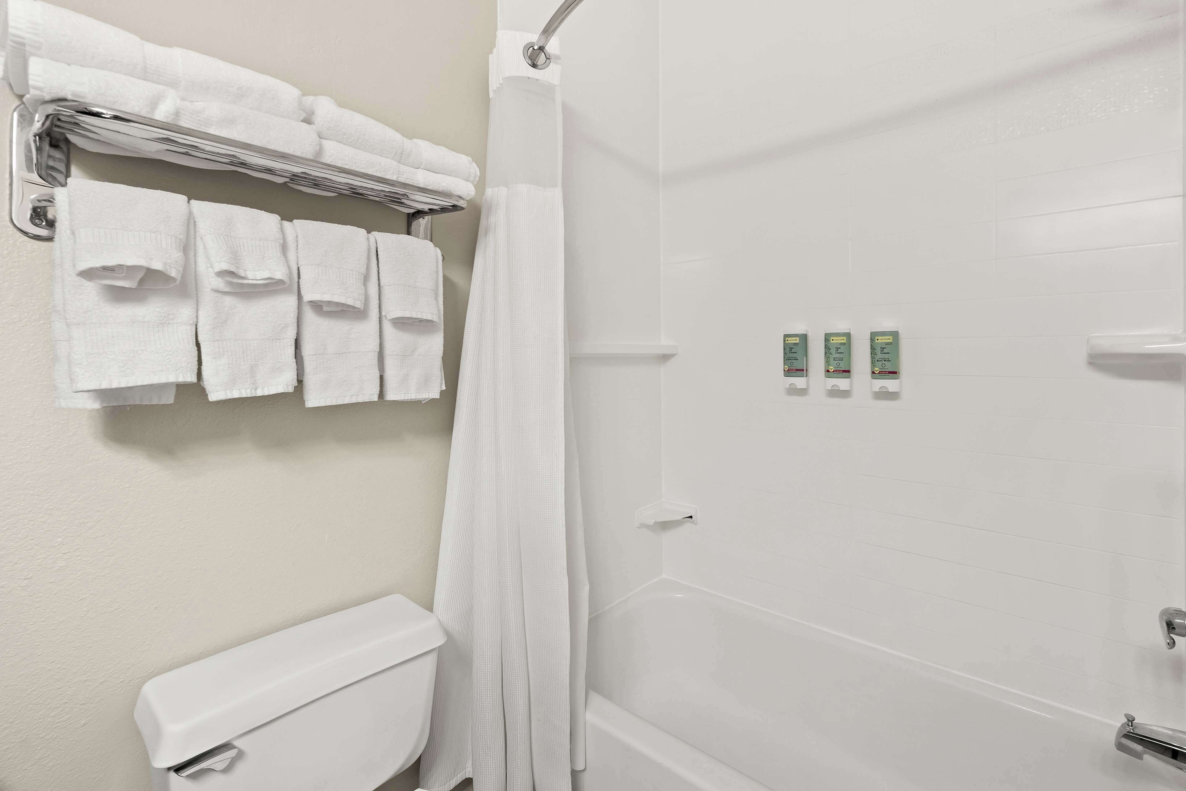 combined shower/bathtub, free toiletries, hair dryer, towels