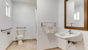 Een badkamer met toilet, wastafel, spiegel, handdoekhouder en handgrepen.
