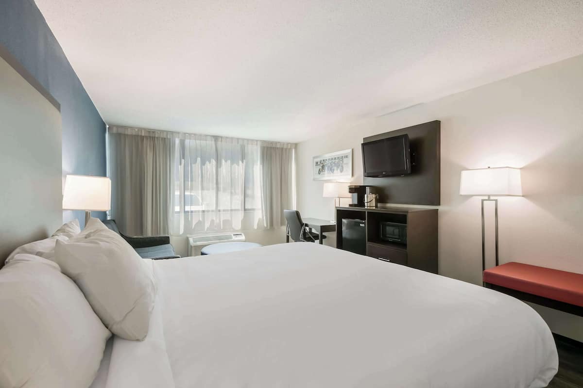 Standard Room, 1 King Bed with Sofa bed, Non Smoking | Desk, blackout drapes, iron/ironing board, rollaway beds