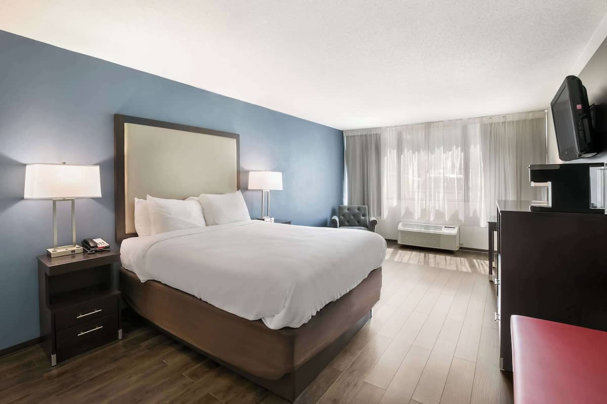 Room, 1 Queen Bed, Accessible, Non Smoking | Desk, blackout drapes, iron/ironing board, rollaway beds