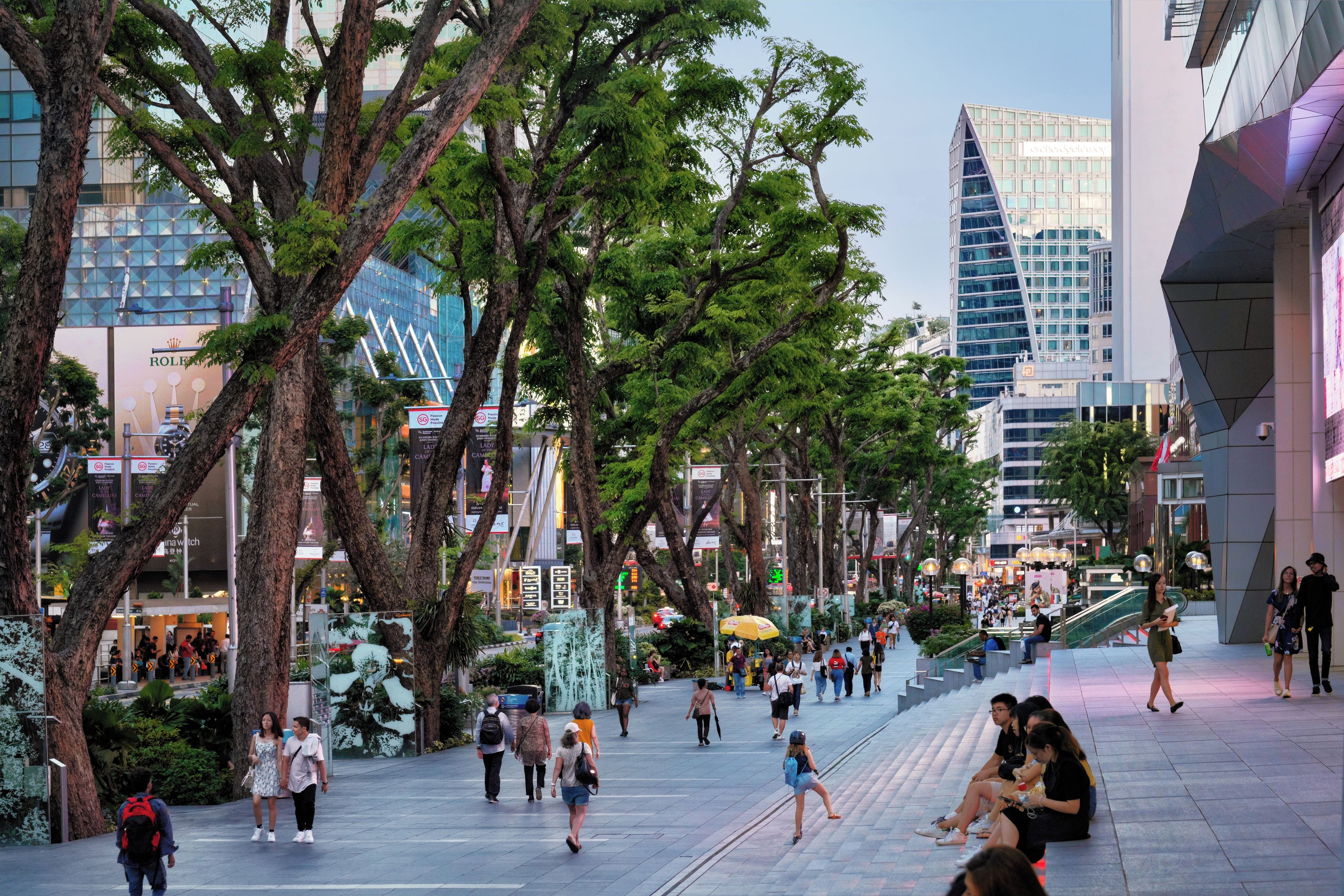 A bustling urban walkway lined with trees and modern buildings, featuring a mix of pedestrians and cyclists.