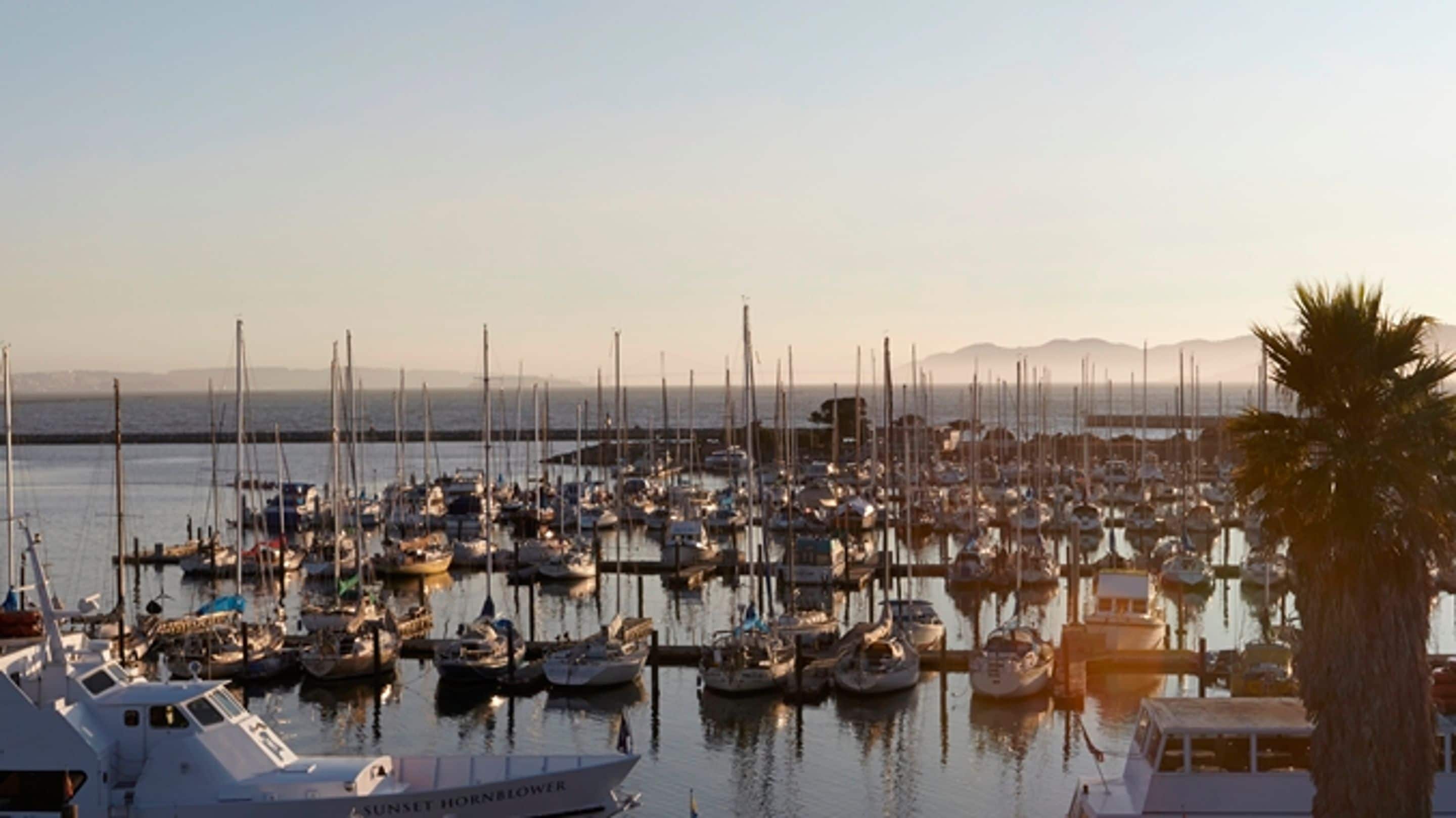 Foto - DoubleTree by Hilton Hotel Berkeley Marina