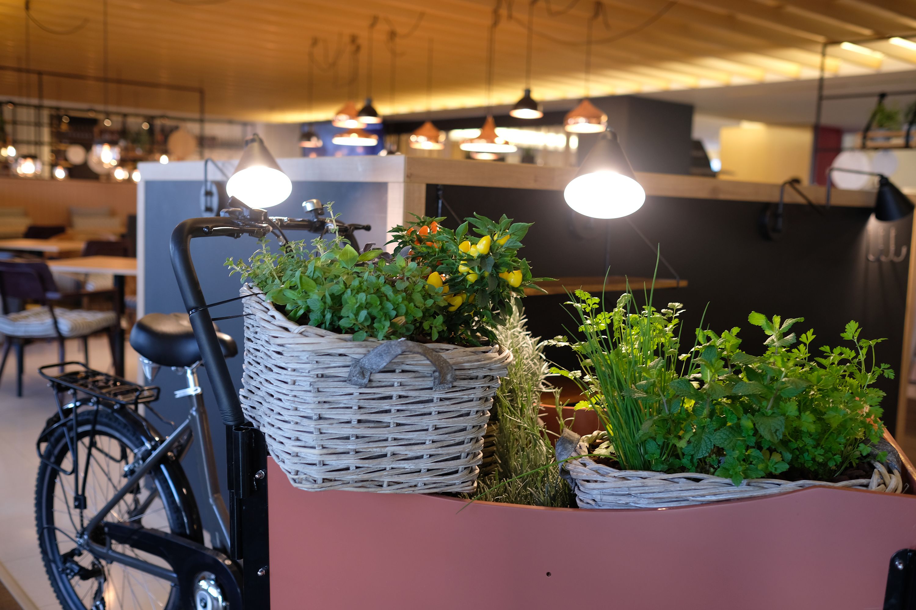 Una bicicletta con un cestino e un portavaso in vimini con piante.