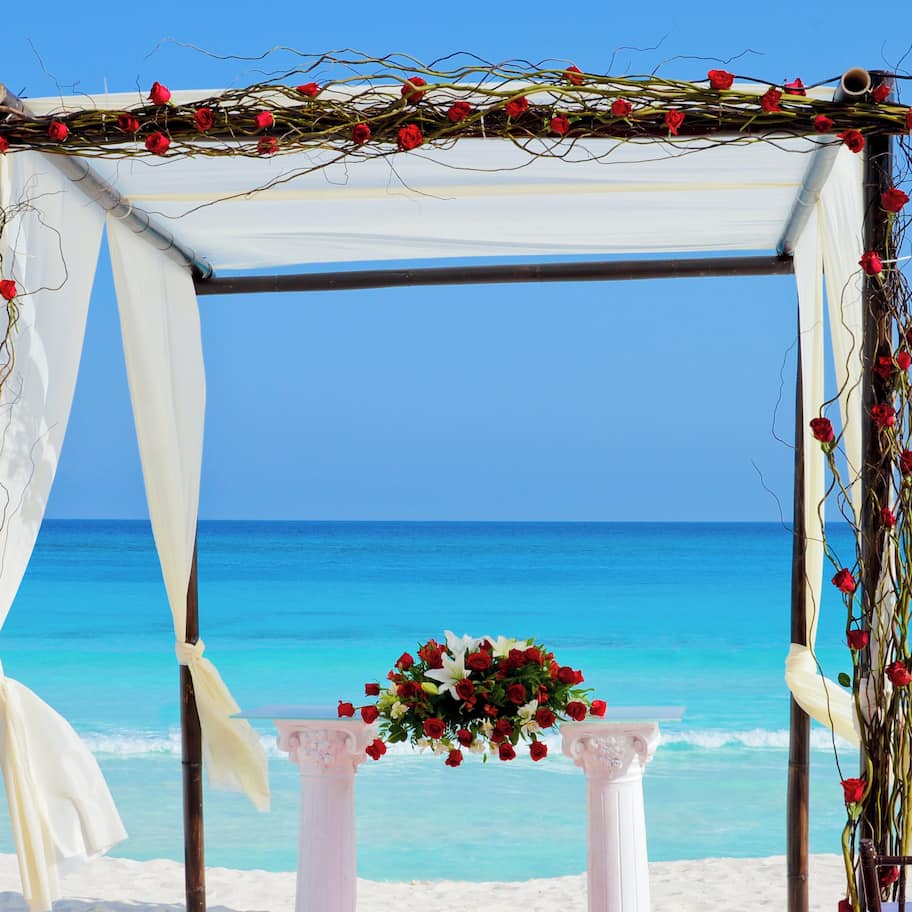 Outdoor wedding area