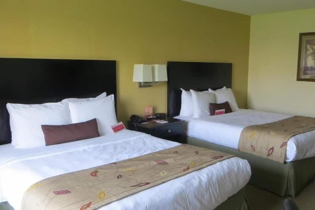 In-room safe, desk, blackout curtains, iron/ironing board