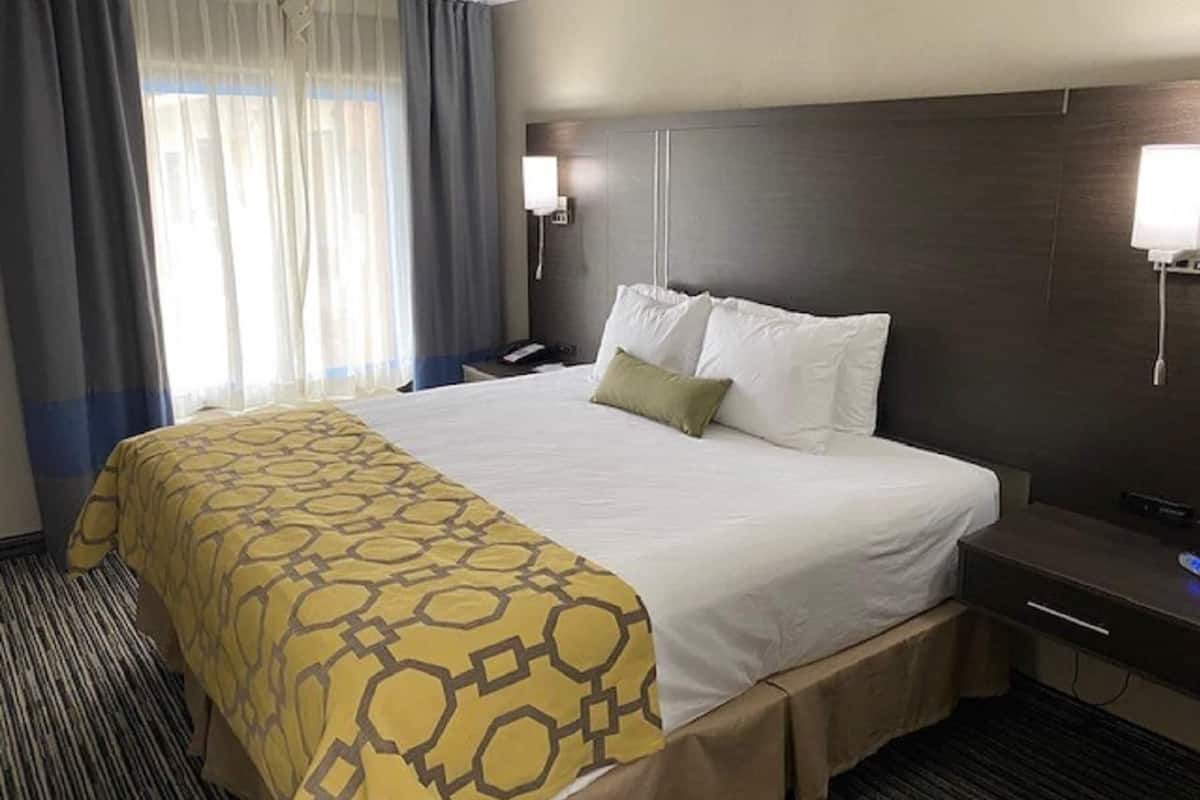 Een bureau, een strijkplank/strijkijzer, gratis babybedden, gratis wifi