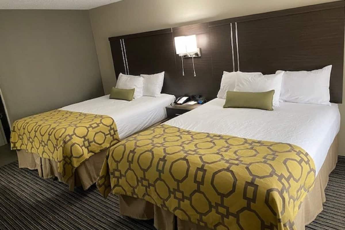 Een bureau, een strijkplank/strijkijzer, gratis babybedden, gratis wifi