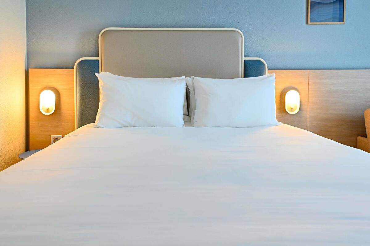 Classic Room, 1 Double Bed with Sofa bed