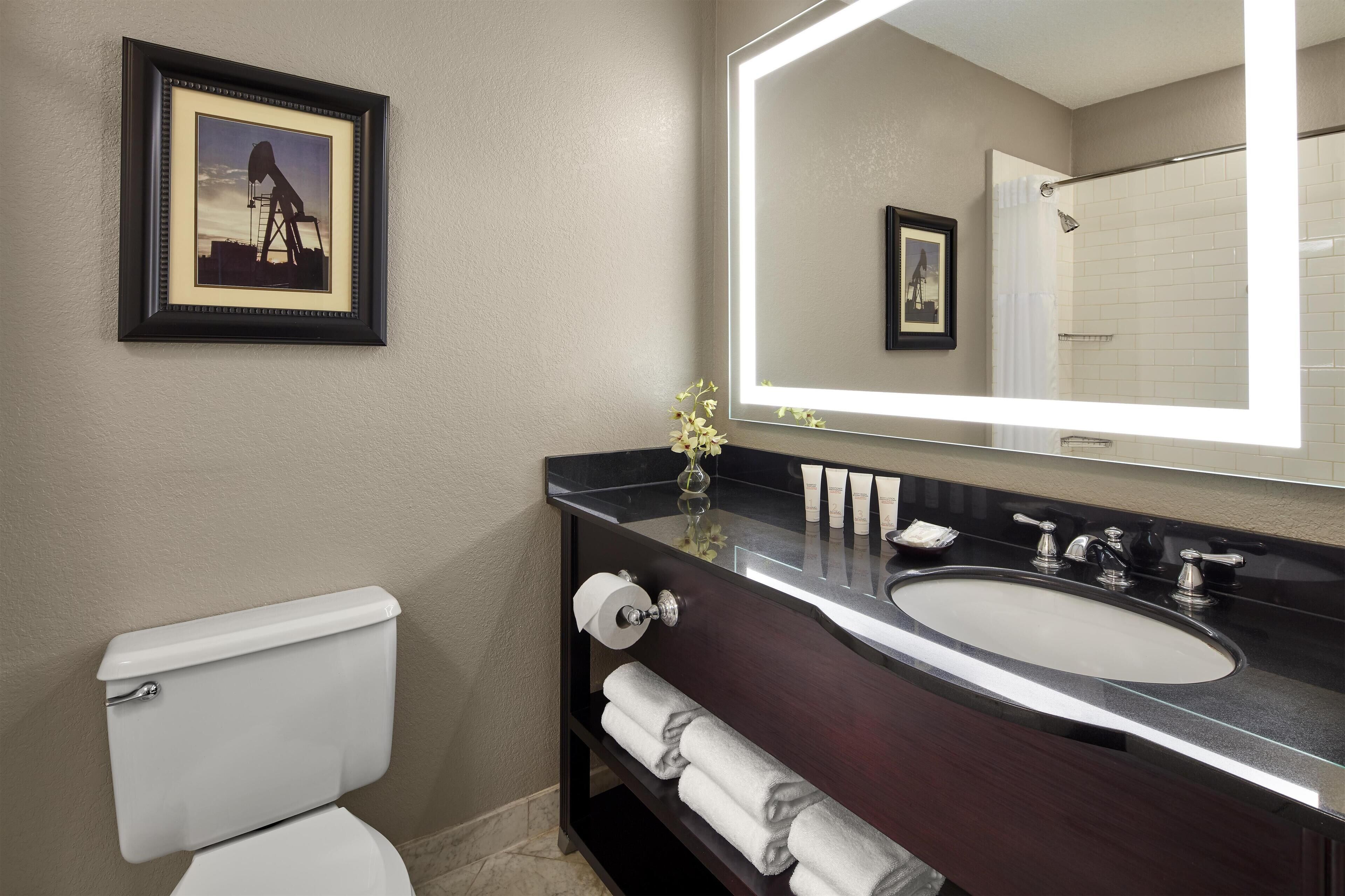 A bathroom with a toilet, a sink, a mirror, and a framed picture on the wall.