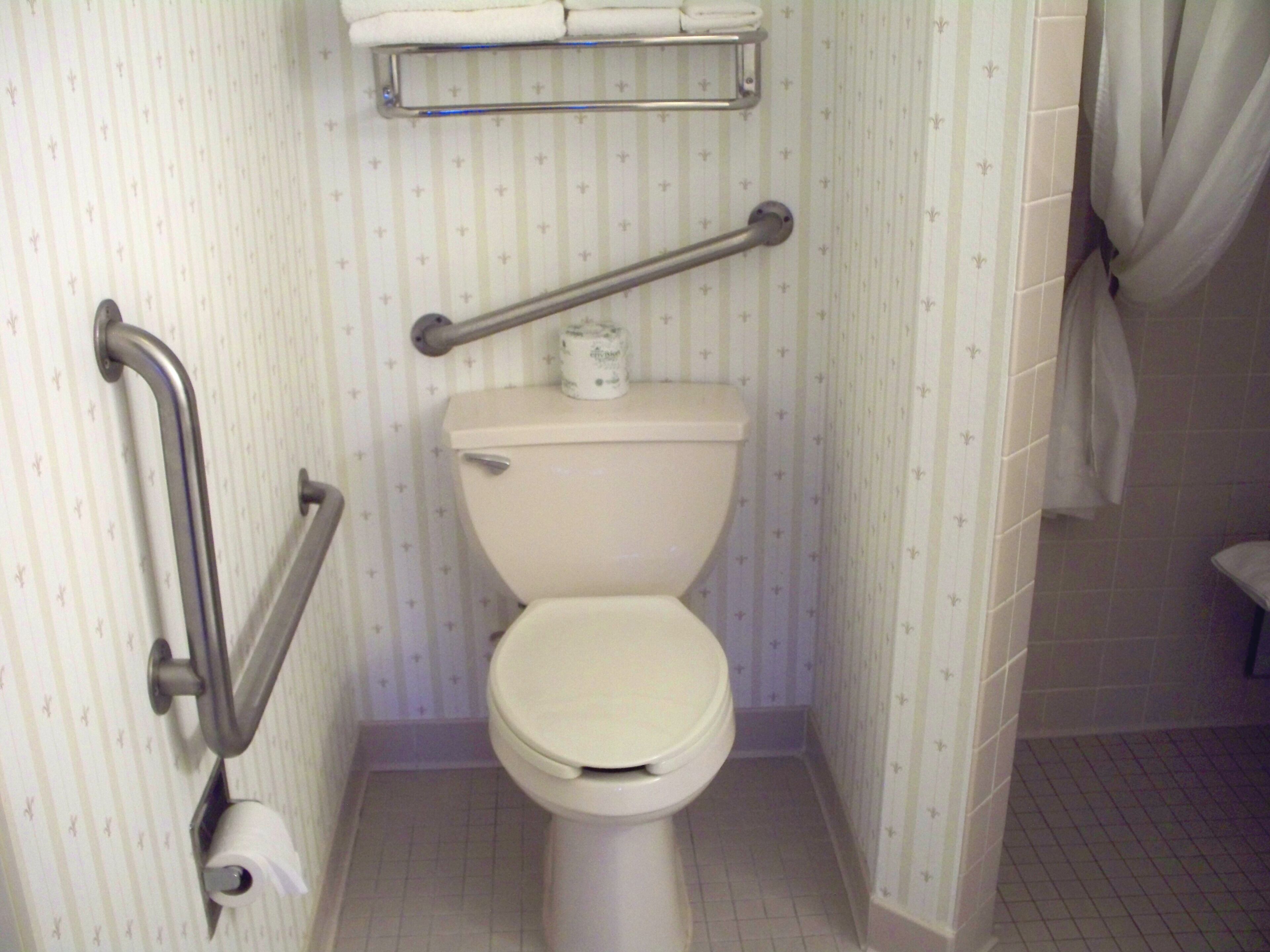 Une salle de bain équipée de toilettes, de barres d’appui, d’un porte-serviettes et d’un support à papier toilette.