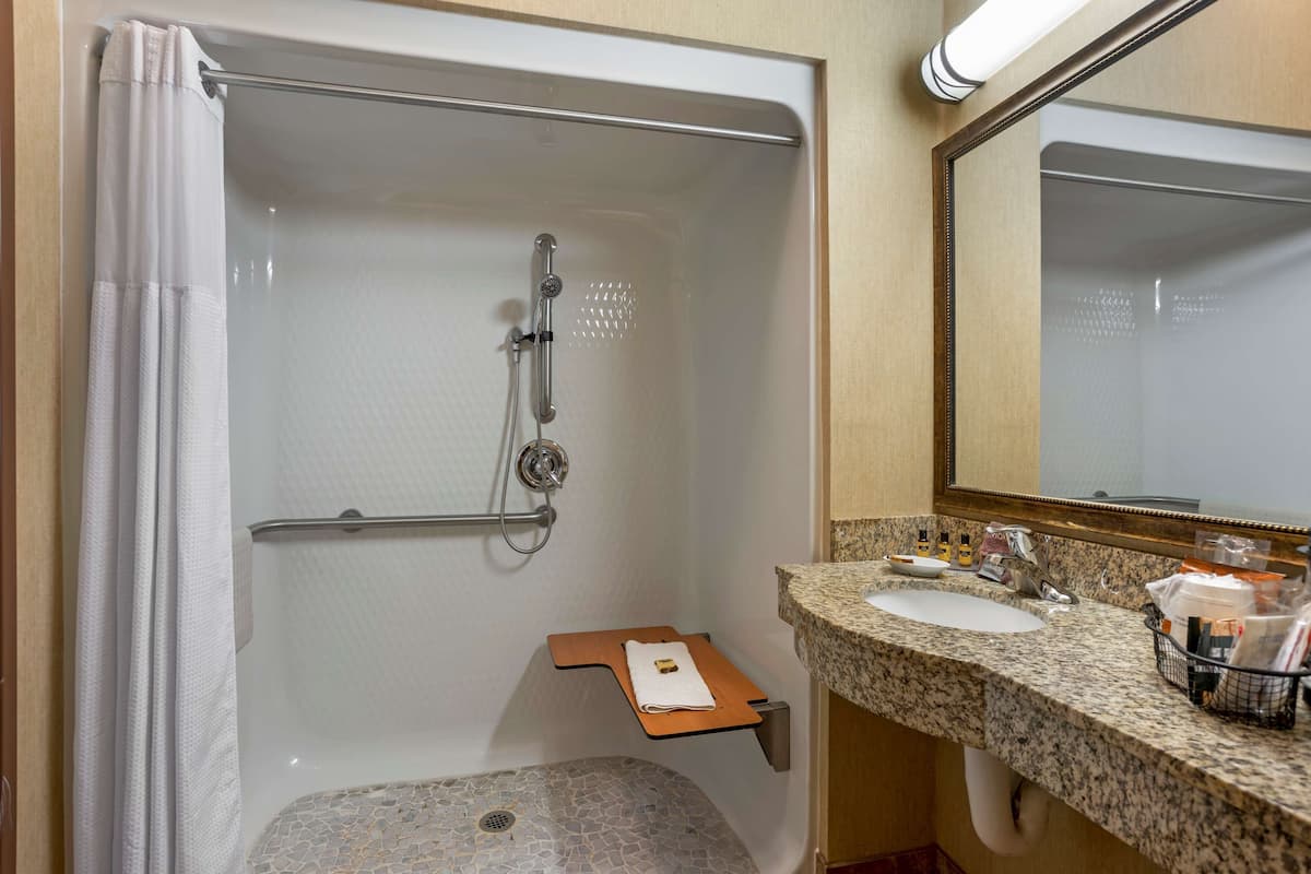 combined shower/bathtub, free toiletries, hair dryer, towels