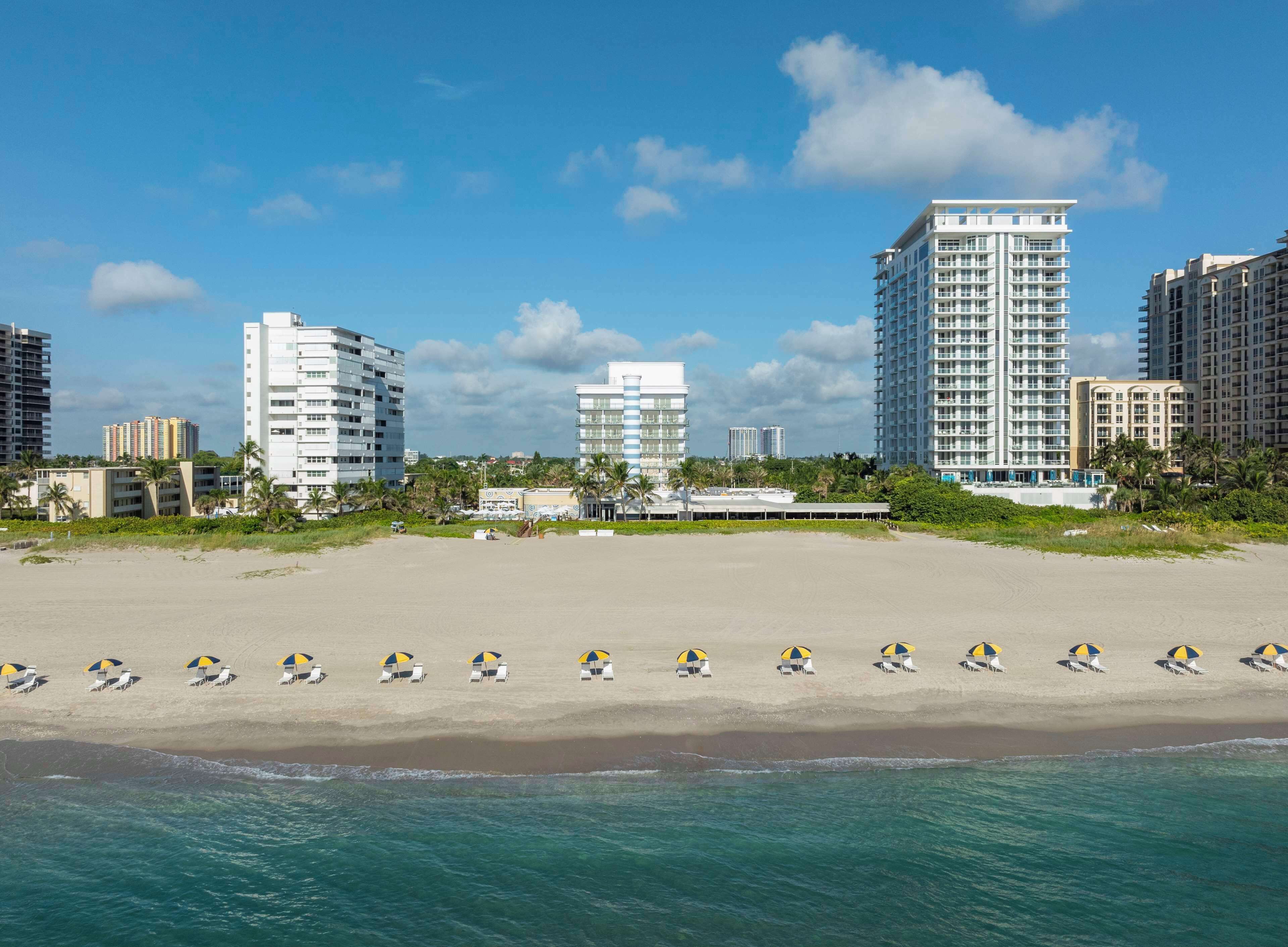 A beach with rows of beach chairs and umbrellas, a sandy shore, and tall buildings in the background.