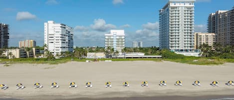A beach with rows of beach chairs and umbrellas, a sandy shore, and tall buildings in the background.