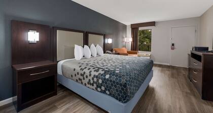 Econo Lodge Cheraw Market Street