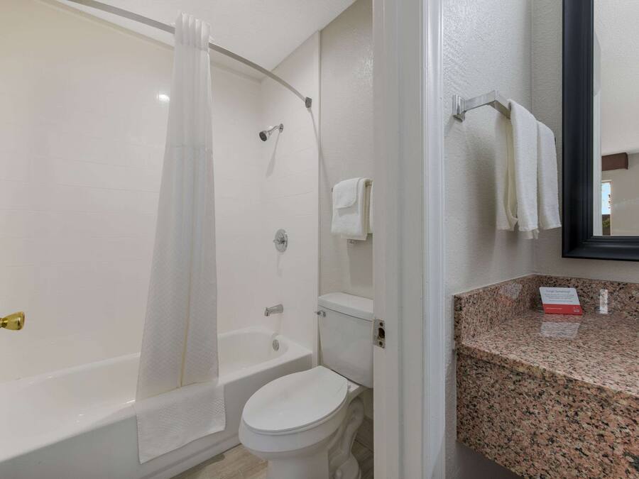 A bathroom with a shower, toilet, and granite countertop.
