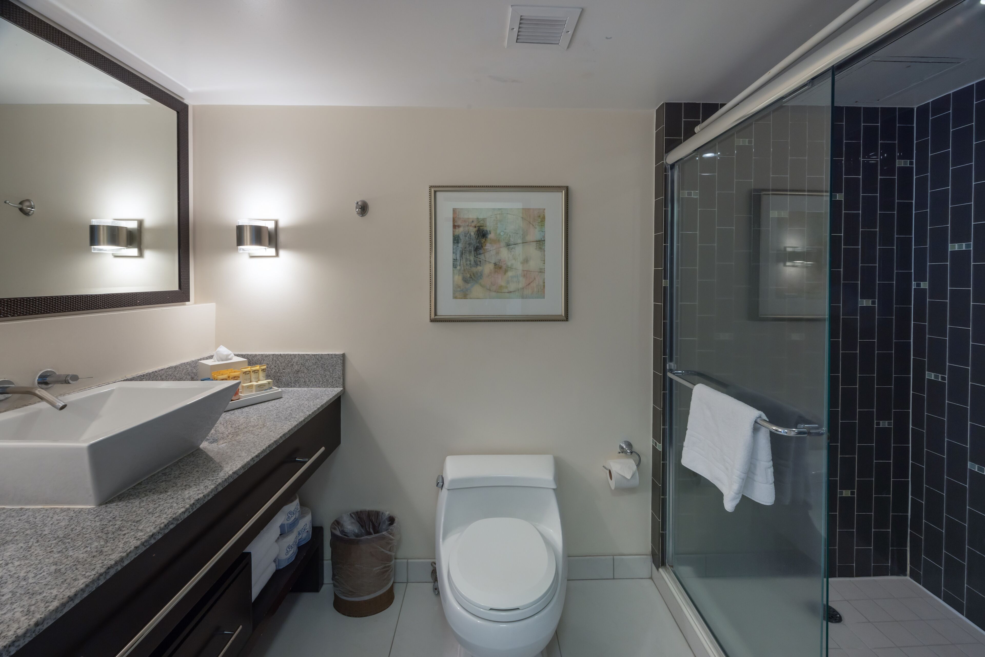 Une salle de bain moderne avec un grand lavabo, des toilettes et une douche à parois de verre.