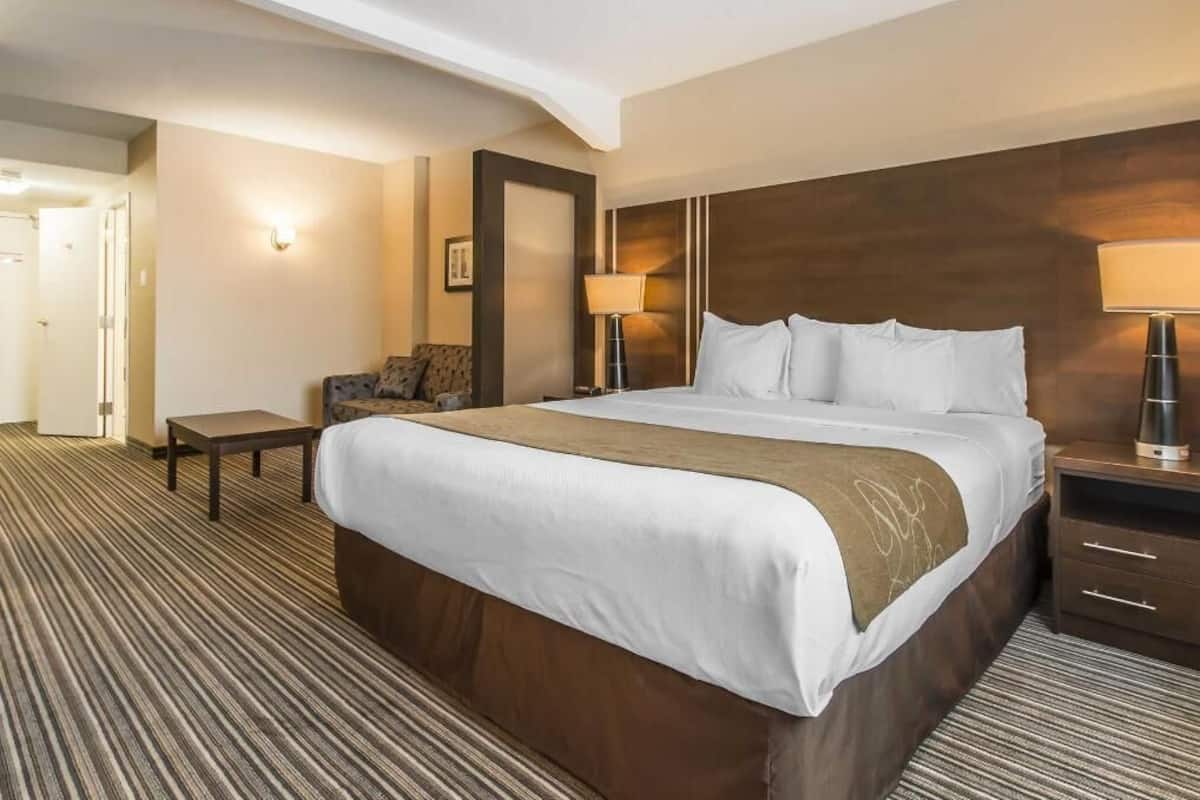 Desk, blackout curtains, iron/ironing board, free cots/infant beds