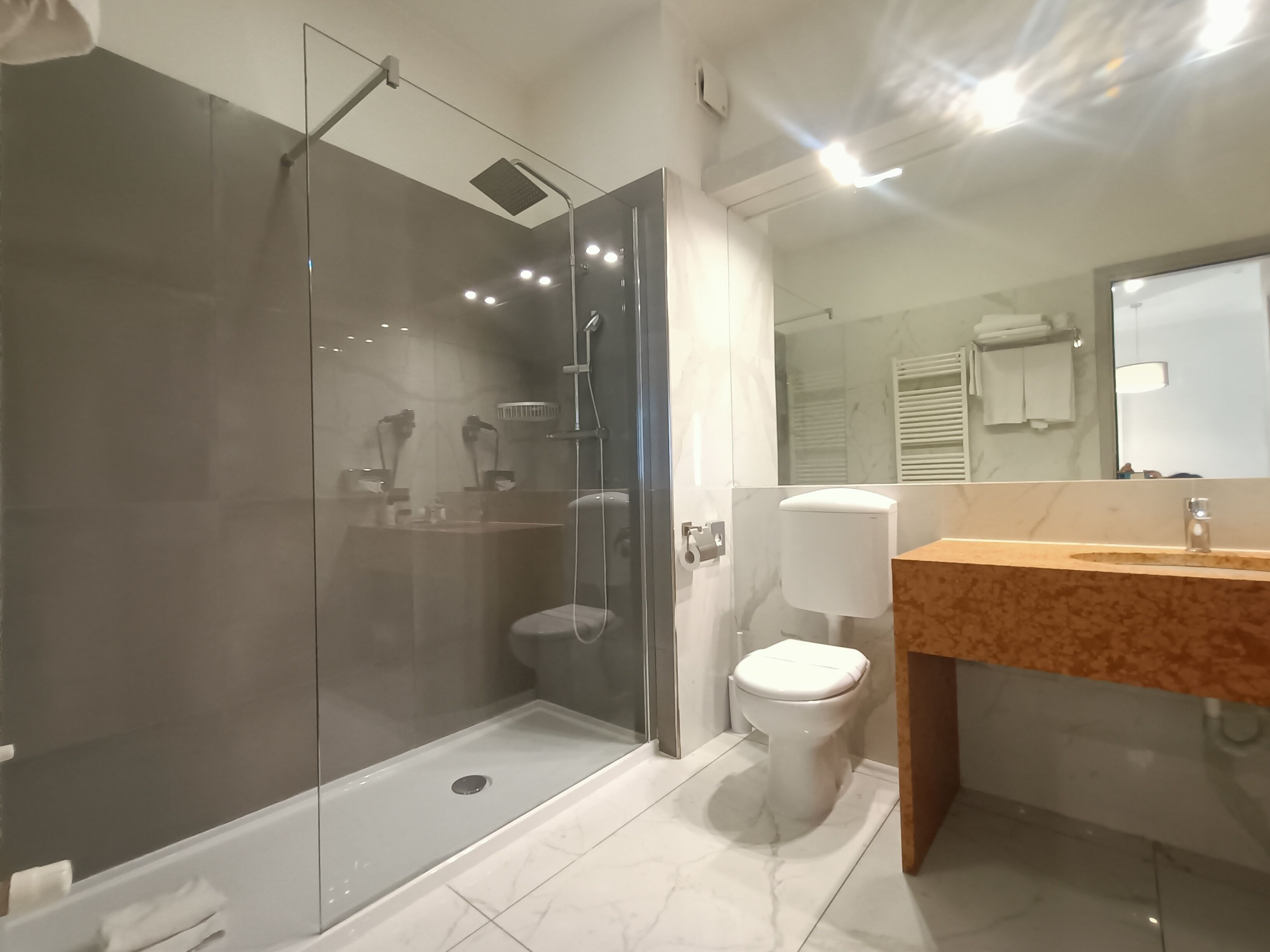 A modern bathroom with a glass-enclosed shower, a toilet, and a vanity with a mirror.