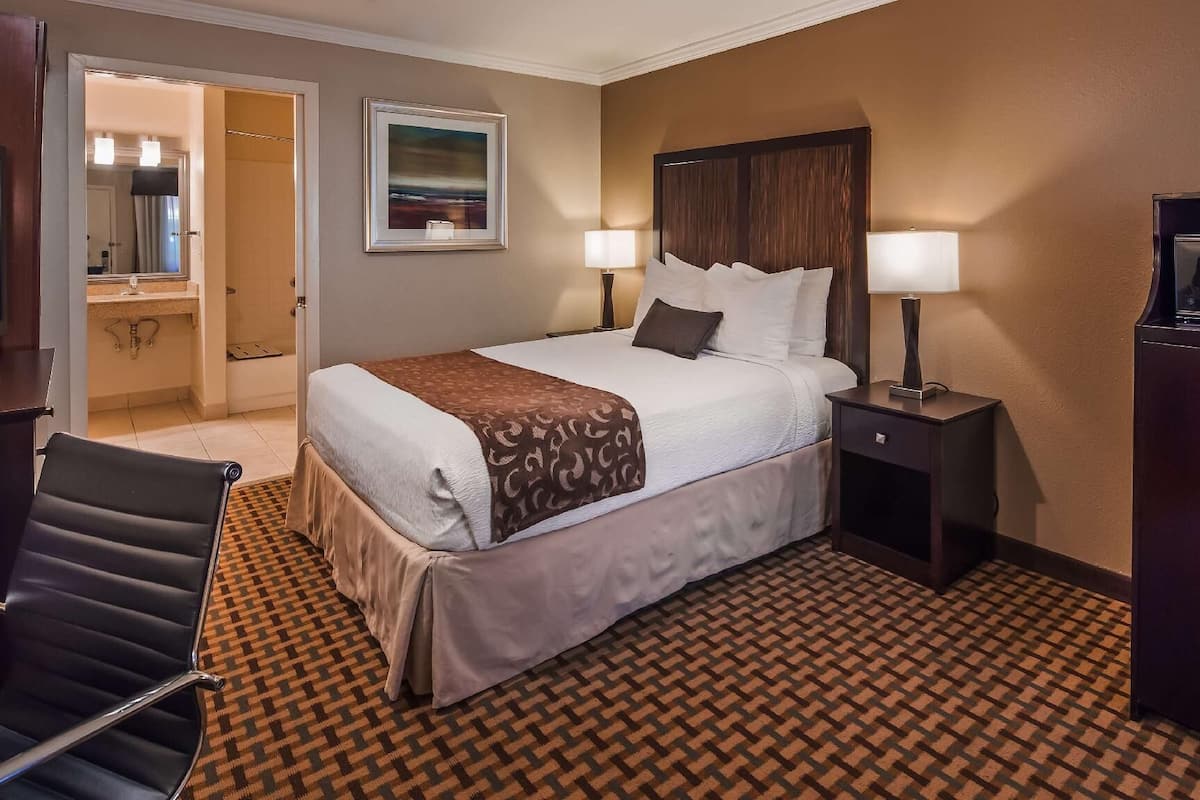 A hotel room with a bed, two bedside lamps, a TV, a chair, and a patterned carpet.