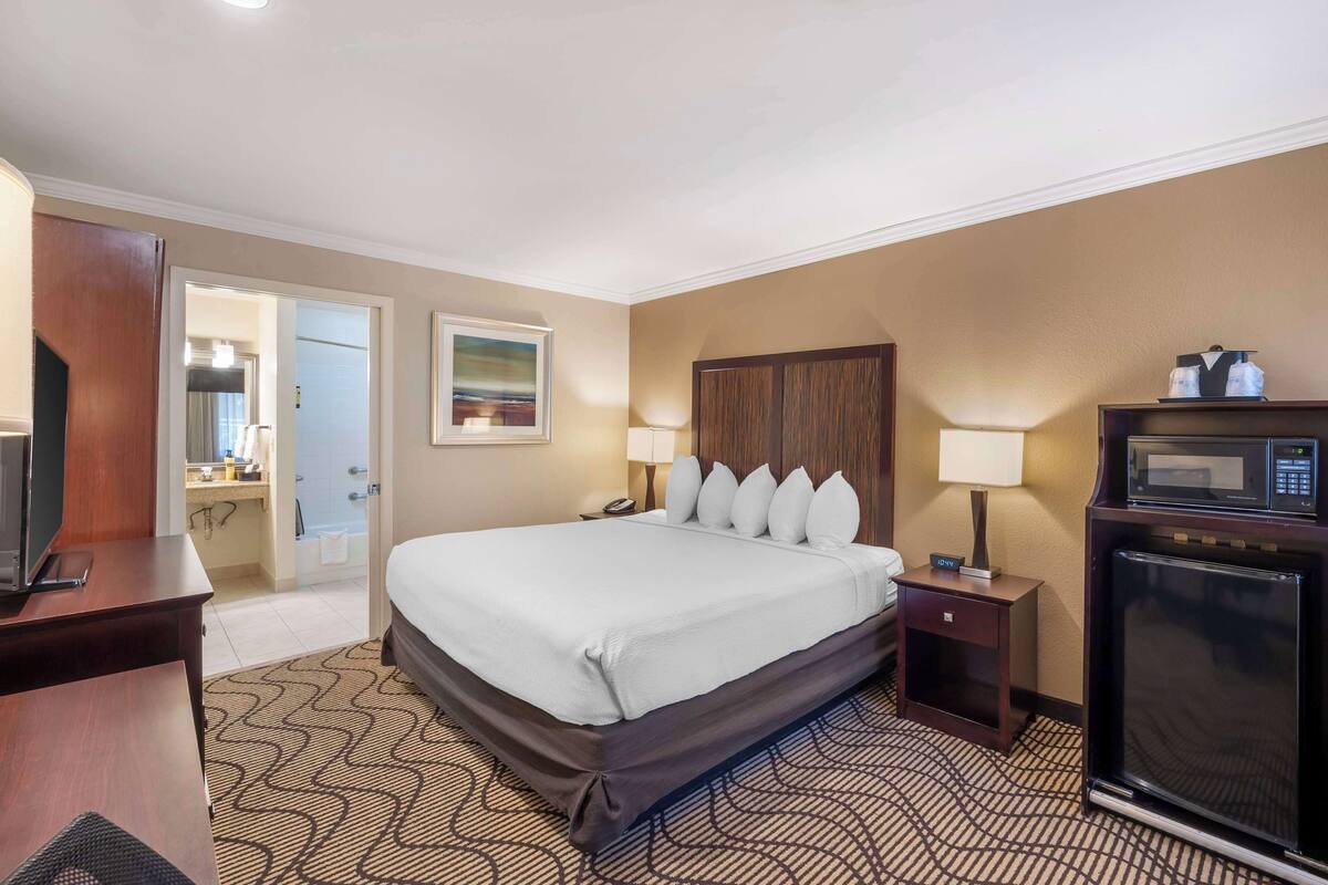 A hotel room with a large bed, two bedside tables, a TV, a microwave, and a refrigerator.