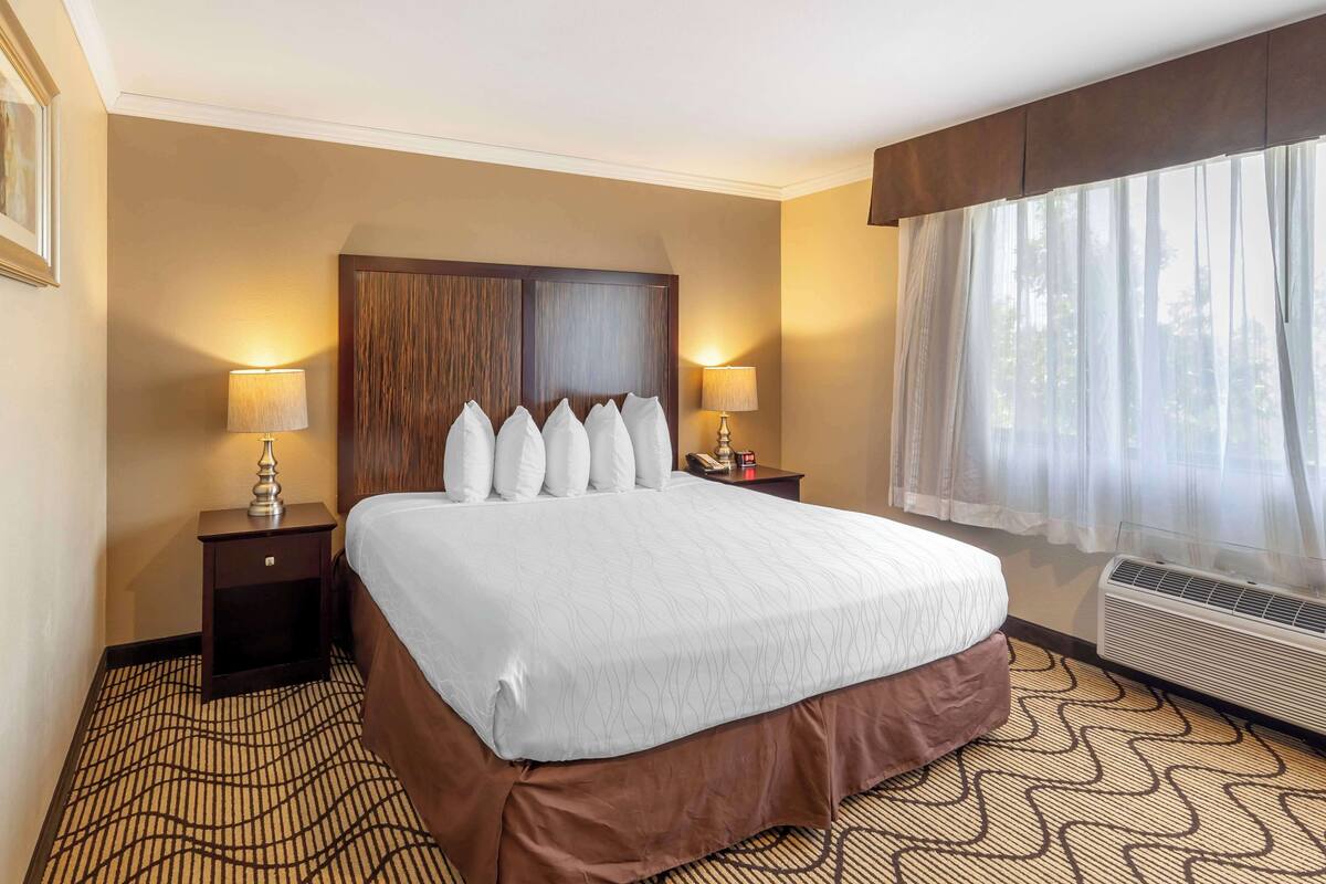 A hotel room with a large bed, two bedside tables with lamps, a window with sheer curtains, and a patterned carpet.