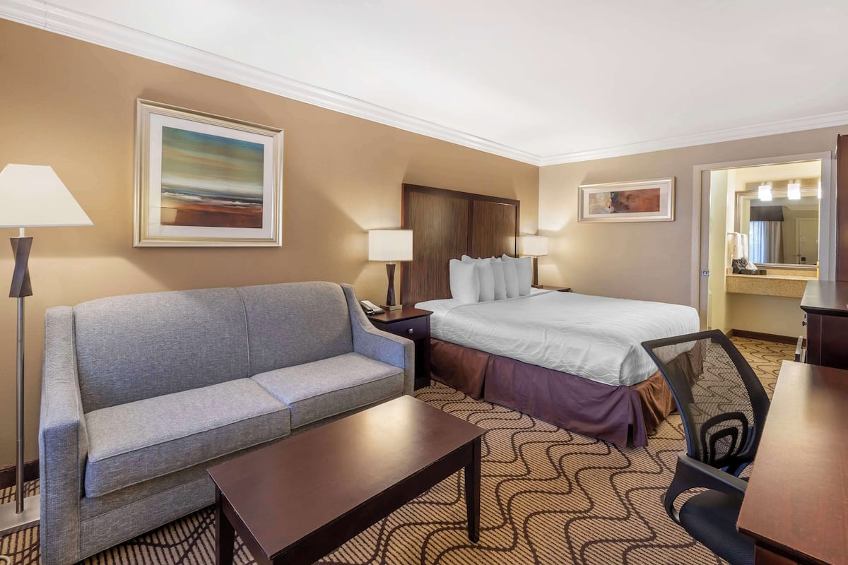 A hotel room with a bed, a sofa, a desk, and a chair.