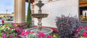 Best Western Plus Orchid Hotel & Suites