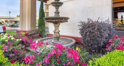Best Western Plus Orchid Hotel & Suites