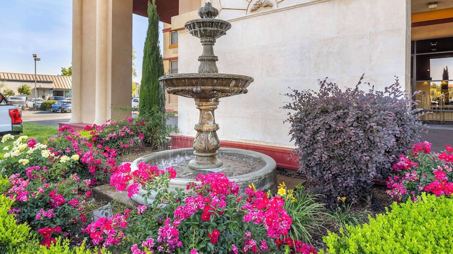 Best Western Plus Orchid Hotel & Suites