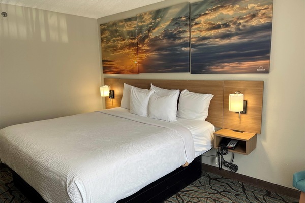 Standard Room, 1 King Bed | Desk, blackout drapes, iron/ironing board, WiFi (free)