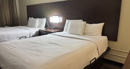 Quality Inn & Suites Tuscaloosa near University